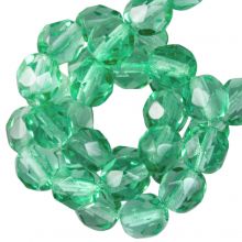 Perles Facettes Polies au Feu Tchèques (6 mm) Blue Peridot (25 pièces)