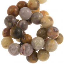 Perles Agate Crazy Lace (10 mm) 19 pièces