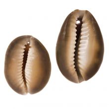 Perles Coquillage Cauris (20 - 32 mm) Peru (5 pièces)
