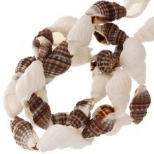 Perles Coquillage (10 - 16 x 7 - 10 mm) Brown White (145 pièces)