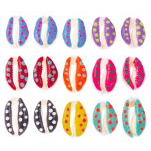 Perles Coquillage Cauris Points d'Émail (17 - 23 x 11 - 15 x 6 - 8 mm) Mix Color (15 pièces)