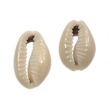 Perles Coquillage Cauris (16 - 20 mm) Dark Khaki (20 grammes / env. 25 pièces)