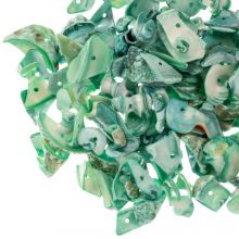 Perles Coquillage Chips (7 - 12 x 9 - 27 x 1.5 - 4 mm) Neptune Green (50 grammes)