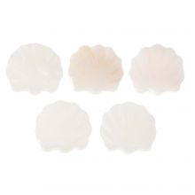 Perles Coquillage (11 x 2.5 mm) White (5 pièces)