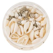 Mélange de Perles Cauris et Coquillages Décoratifs (diverse tailles) 200 pièces