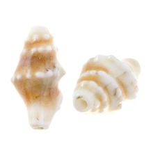 Perles en Céramique Coquille (20 x 10.5 x 10 mm) Desert Dust (5 pièces)
