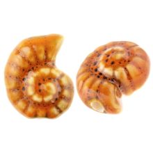 Perles en Céramique Coquille Escargot (17 x 21 x 10 mm) Desert Sun (3 pièces)