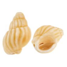 Perles en Céramique Coquille (21x 14 x 12 mm) Sahara Beige (5 pièces)