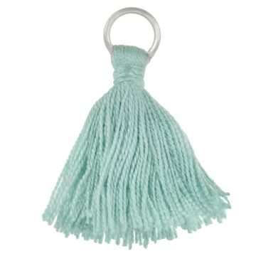 Pompon (35 x 7 mm) Peppermint / Argent Antique (5 pièces)