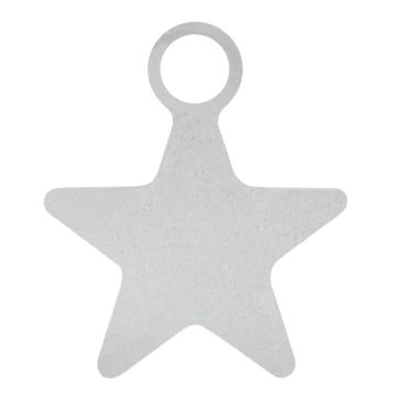 Breloque Acier Inoxydable Etoile (10 x 8 x 0.8 mm) Argent(10 pièces)