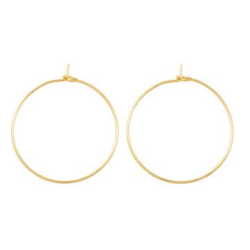 Boucles d'Oreilles Acier Inoxydable (20 x 0.7 mm) Or (10 pièces)