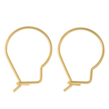 Crochets d'Oreilles Acier Inoxydable (18 x 13 mm) Or (10 pièces)