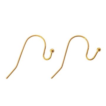 Crochets d'Oreilles Acier Inoxydable (21 x 12 mm) Or (10 pièces)