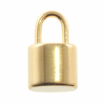 Breloque Acier Inoxydable Fermoir (12 x 7 x 5 mm) Or (2 pièces)