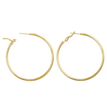 Boucles d'Oreilles Acier Inoxydable (50 x 2 mm) Or (2 pièces)