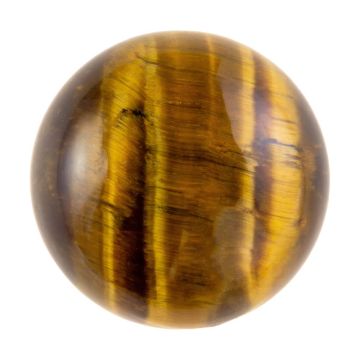 Cabochon de Tigre (14 mm) 3 pièces