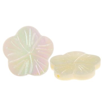 Perles Coquillage Fleur (18.5 - 20 x 19 - 20 x 2 - 3.5 mm) White AB (5 pièces)